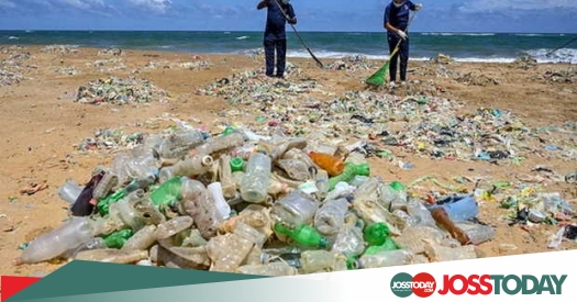 Wwf Sampah Plastik Telah Menyusup Ke Semua Bagian Lautan